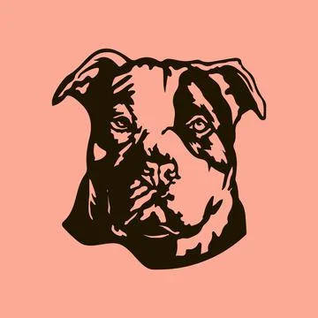 Bulldog-vector 库存插图