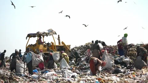 Bulldozer And Waste Pickers Sorting Garbage By Hand At Delhi Landfill Stock Footage 248056378
