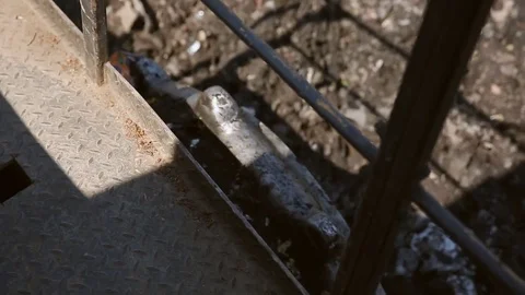 Bulldozer and wheel studs for use on landfill Stock Footage 76200705