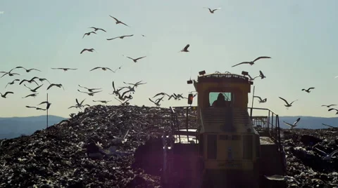 Bulldozer in a dump Stock Footage 68417531
