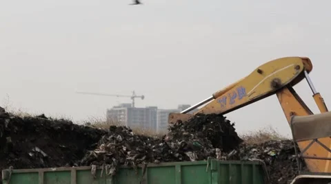 Bulldozer Garbage Dumping India 3 Stock-Footage 55441296