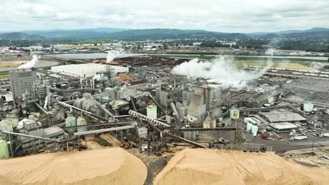 Bulldozer grades massive wood chip piles beside steaming pulp mill complex with Stock Footage 340564717