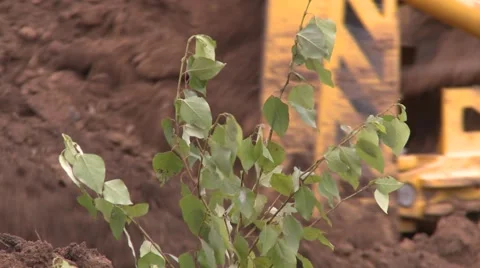 Bulldozer pushing soil Stock Footage 52778311