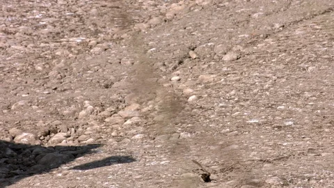 Bulldozer on work Stock-Footage 94722572