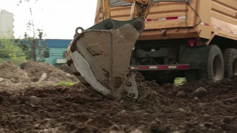Bulldozer working Stock Footage 77050746