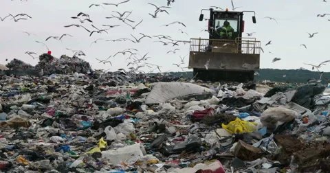 Bulldozer working in landfill Stock-Footage 68796633