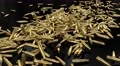 Bullet casings cartridge ammo ammunition fall ground war terrorism rifle gun 4k 4k or 4k+ Resolution