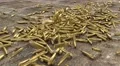 Bullet casings cartridge ammo ammunition fall ground war terrorism rifle gun 4k 4k or 4k+ Resolution