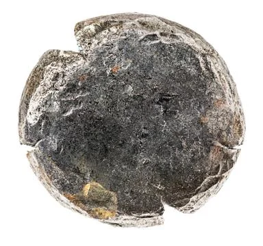 Bullet expanded after impact Stock Photos