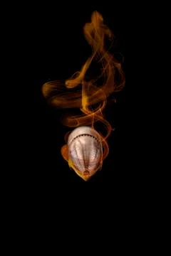 Bullet In fire Stock Photos