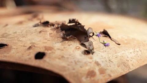 A bullet hole in a rusty car 库存影片 246828048
