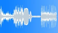 Bullet Impact Window Pane Sound Effect