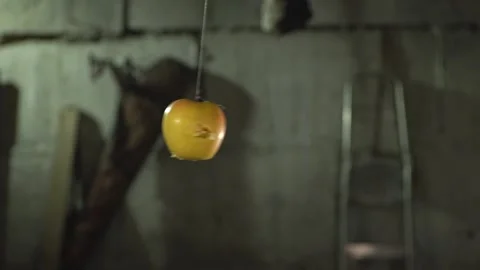 Bullet-pierced apple Stock Footage 228725058