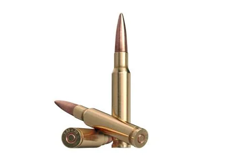 Bullet rifle caliber Illustrazione stock