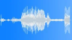 Bullet Shell 9Mm DropSound Effect
