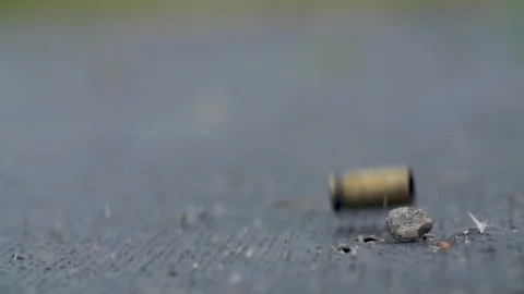 Slow Motion Bullet Stock Videos – Royalty-Free HD & 4K Videos | Page 4