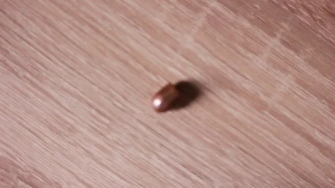 Bullet through the magnifying glass 動画素材 83748095