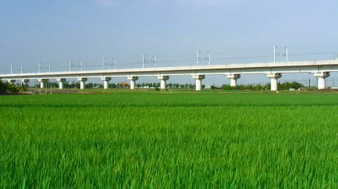 Bullet train beyond rice field 스톡 동영상 349560