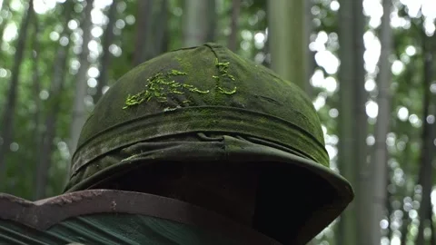 A Bulletproof Helmet Hanging in a Bamboo Forest Stock Footage 334775862