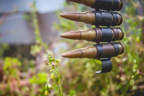 Bullets Belt with Plants Stock Photos