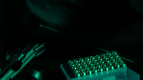 Bullets. Stock Footage 146200918