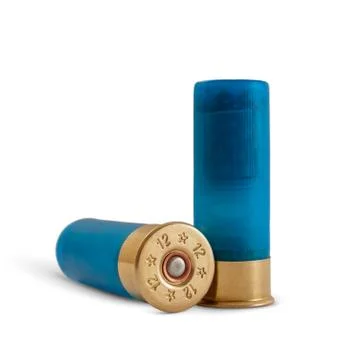 Bullets for a shotgun Stock Photos