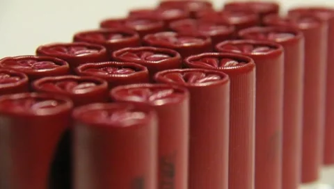Bullets Shotgun Shells 14 動画素材 10725138