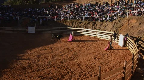 Bullfight Peru Stock Footage 40245388