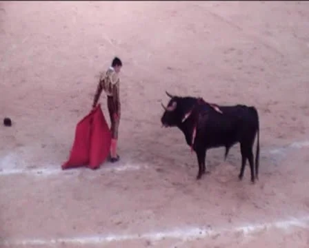 Bullfight1 Stock Footage 8921545