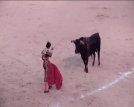 Bullfight2 Stock Footage 8921635