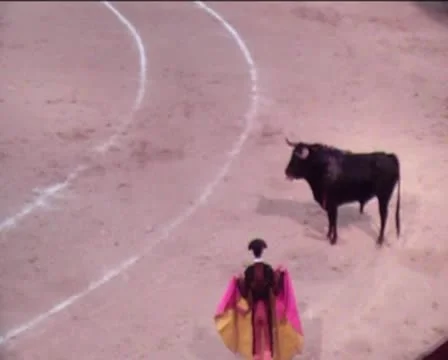 Bullfight3 動画素材 8921570