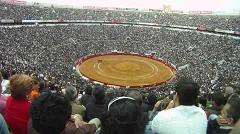 Bullfighting crowd shot Stock Footage 40543924