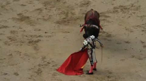 Bullfighting 動画素材 11981985