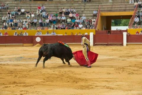 Bullfighting. Stock Photos