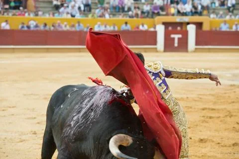 Bullfighting. Stock Photos