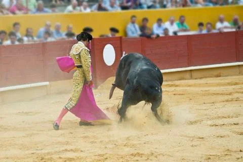 Bullfighting. Stock Photos