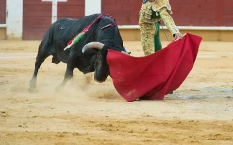 Bullfighting. Stock Photos
