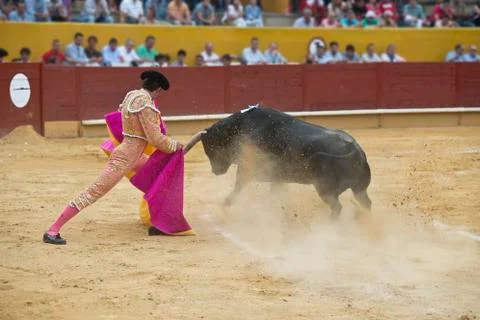 Bullfighting. Stock Photos