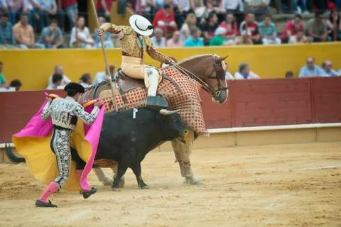 Bullfighting. Stock Photos