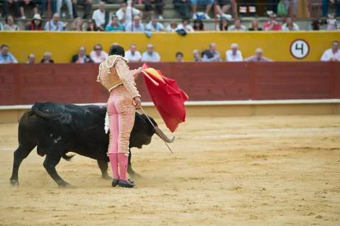 Bullfighting. Stock Photos
