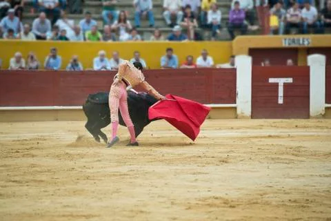 Bullfighting. Stock Photos