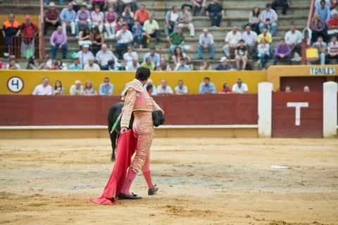 Bullfighting. Stock Photos