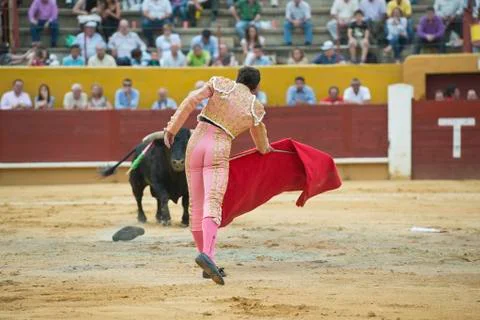 Bullfighting. Stock Photos
