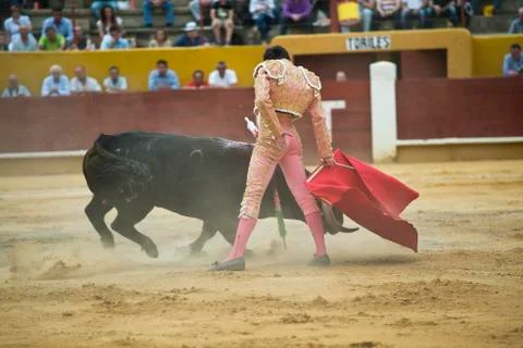 Bullfighting. Stock Photos