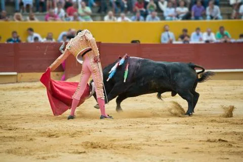 Bullfighting. Stock Photos