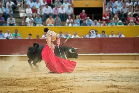Bullfighting. Stock Photos