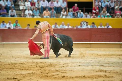 Bullfighting. Stock Photos