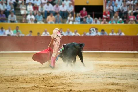 Bullfighting. Stock Photos