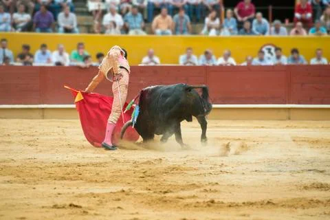 Bullfighting. Stock Photos
