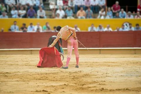 Bullfighting. Stock Photos